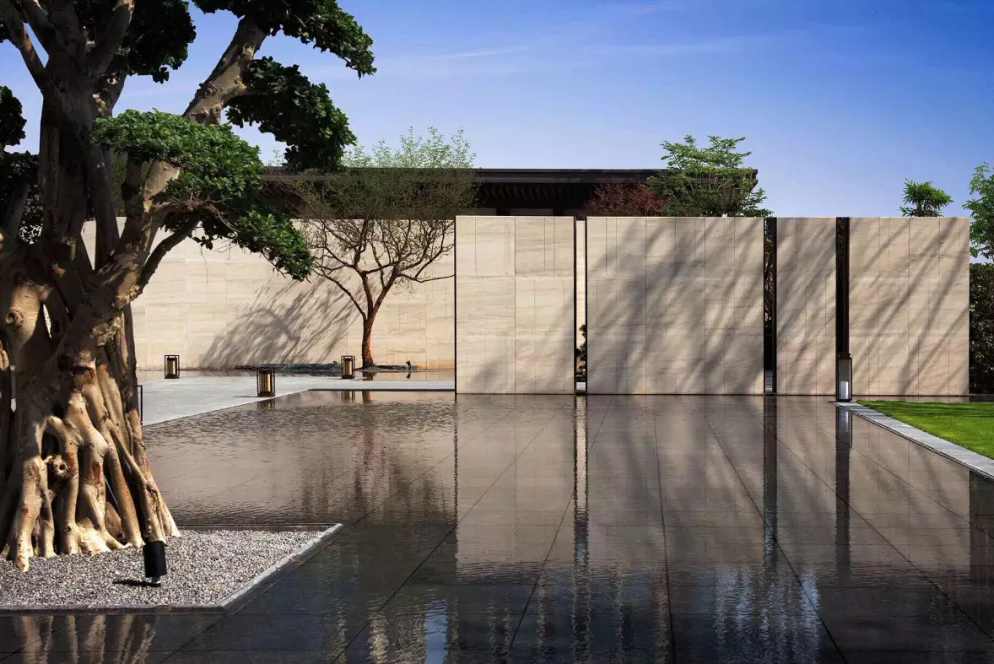 心之所向，桃花源！