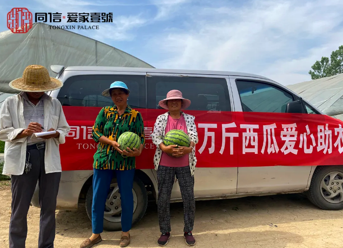 瓜甜心更甜|同信·愛(ài)家壹號(hào)采購(gòu)萬(wàn)斤西瓜愛(ài)心助農(nóng)在行動(dòng)！
