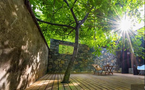 同信·愛(ài)家壹號(hào)|曾經(jīng)江湖策馬，如今院里觀花！