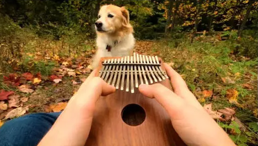 河畔有約丨看見指尖藝術(shù)，聆聽幻彩音符！